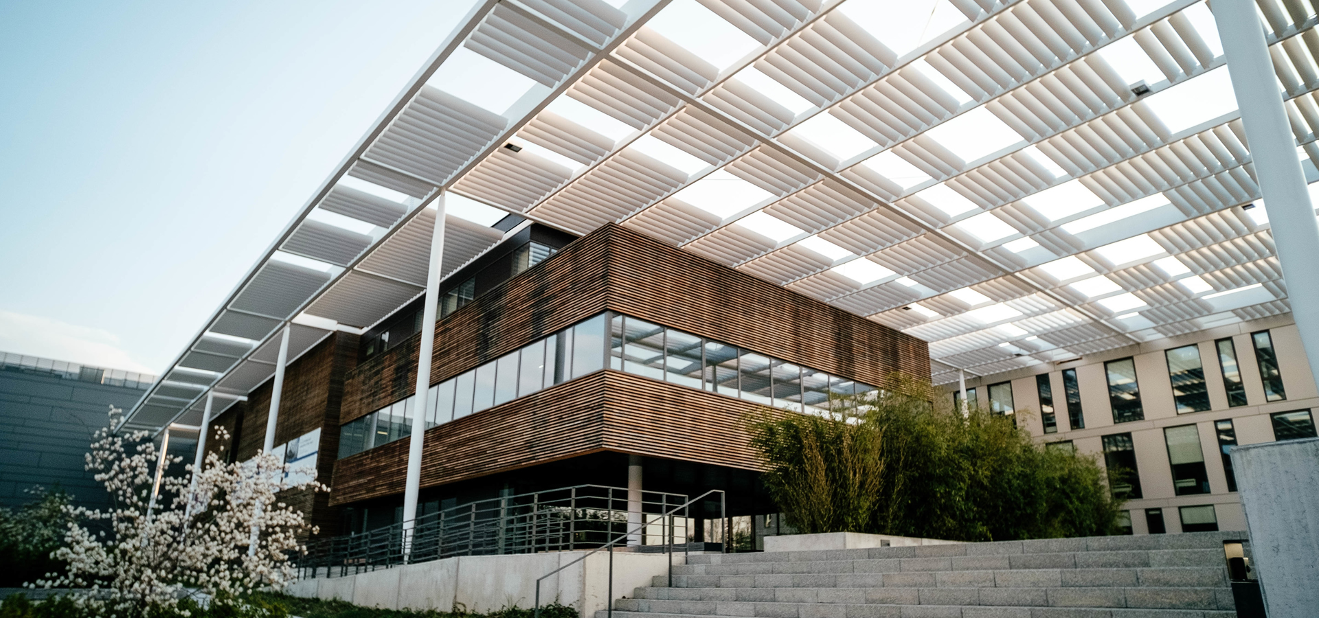 Bienvenidos A CFlores Arquitectura